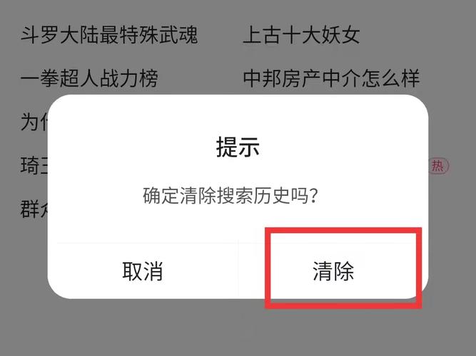 清空所有的搜索历史-第2张图片-光阳健康网